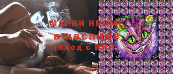 сатива Бородино