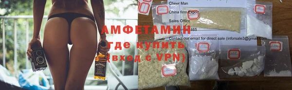 сатива Бородино