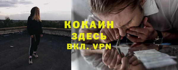 сатива Бородино