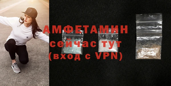 сатива Бородино