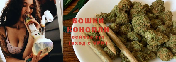сатива Бородино
