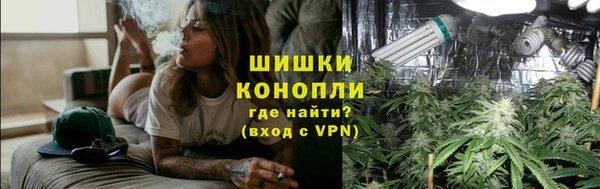сатива Бородино