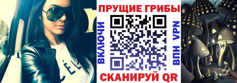 Купить  Белокуриха  Галлюциногенные грибы мухоморы 